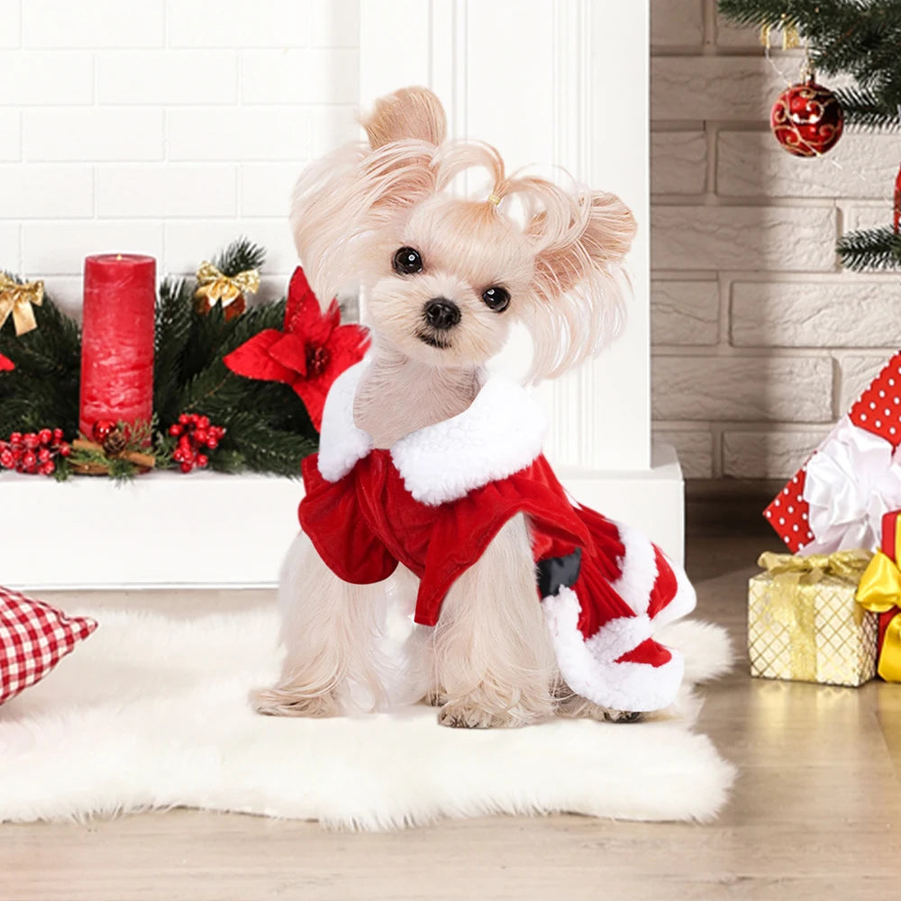 Vestidos de Natal - Mágica e Elegância na Medida Certa